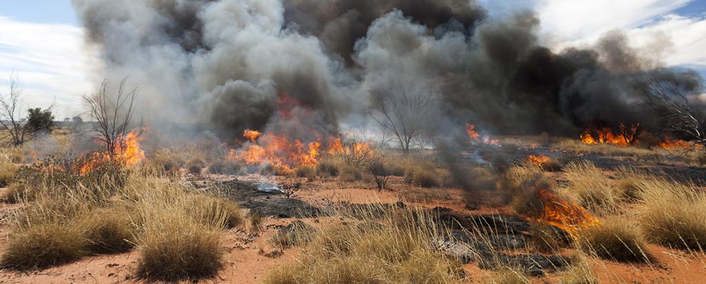 Controlled burning outback