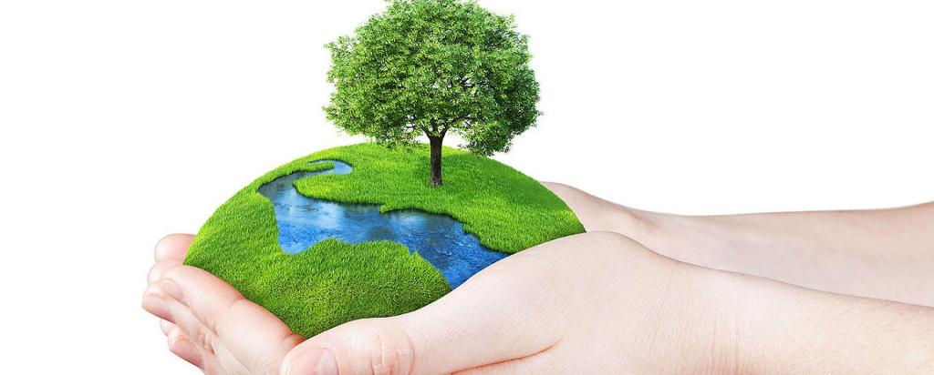 world in someone's hands for world environment day