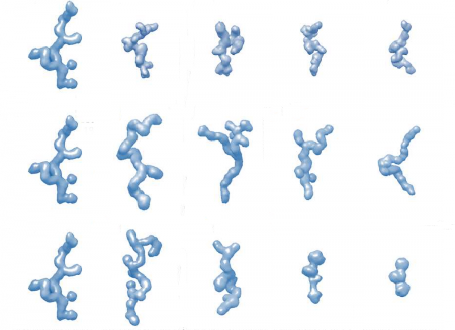 Image of Disordered proteins