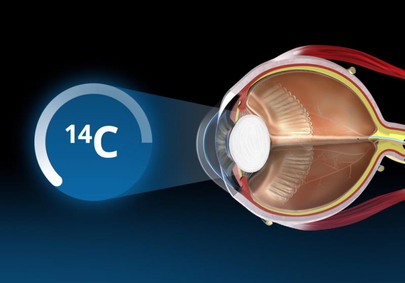 C-14 dating human eye lens