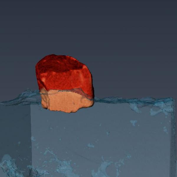 3D image if indigenous chert