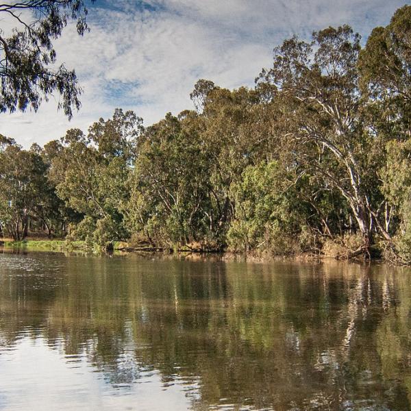 Australian River