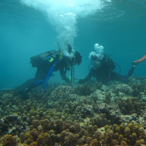 Two researcher scuba divers underwater