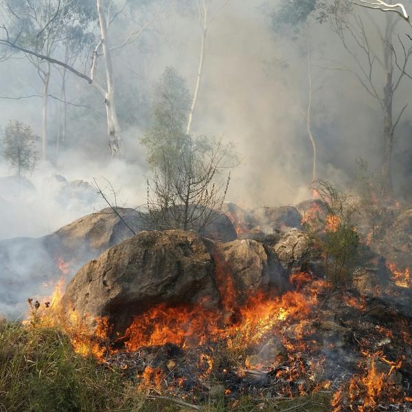 Fire on karst. Image courtesy Andrew Baker, NSW DPE