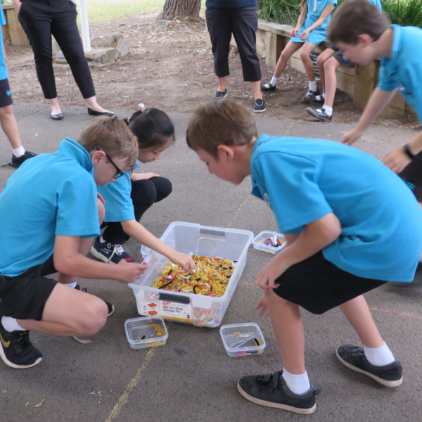 Students Shorebirds Incursion