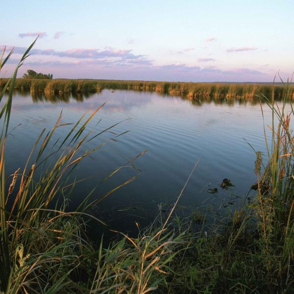 Ramsar Wetlands used by Shorebirds 