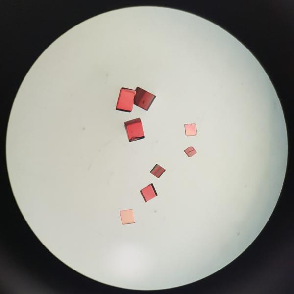 Pink cubic crystals under a microscope