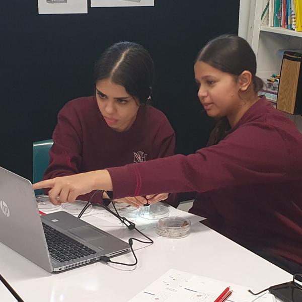 Students at a laptop