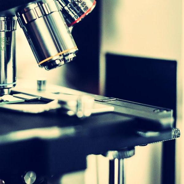 A picture of a microscope.