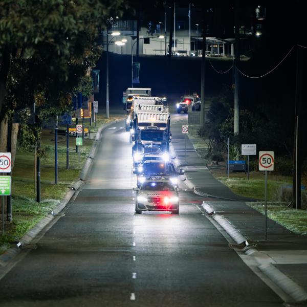 Convoy of cars and trucks