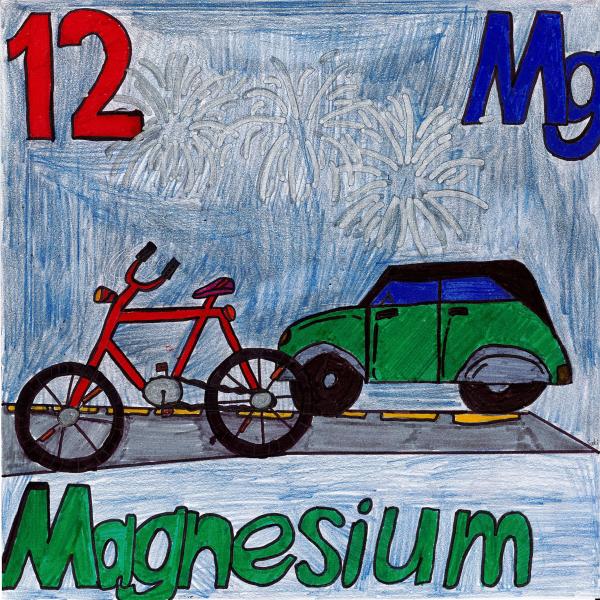 Winner: Year 6 - Sakinah H - Bass Hill - NSW