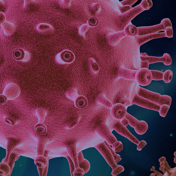 virus stock image