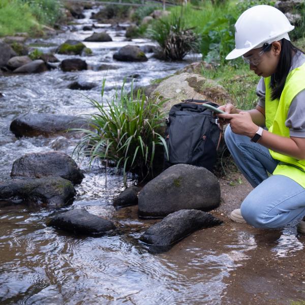 Environmental engineers inspect water quality at natural water sources and record data on smartphones. Woman scientist and environmental issues. 