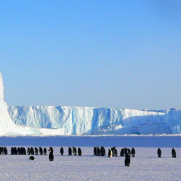 Antarctica