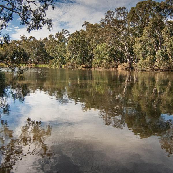 Australian River