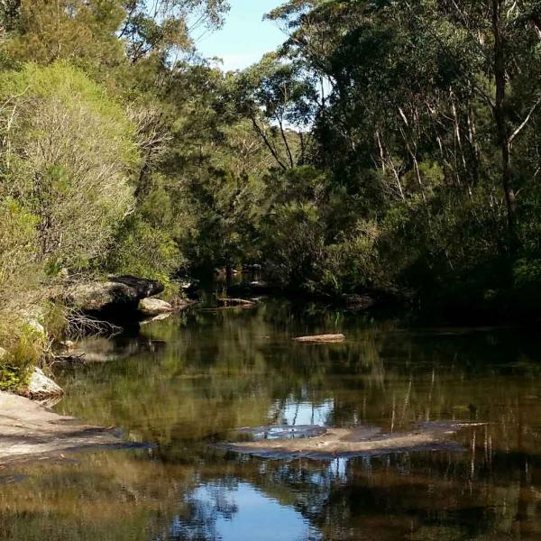 Australian landscape 