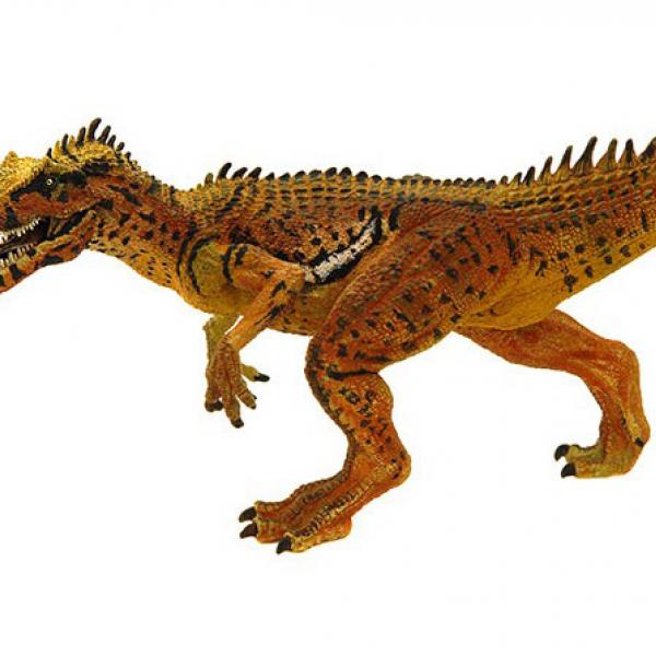 Australovenator