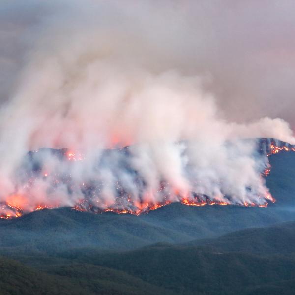 Bushfire
