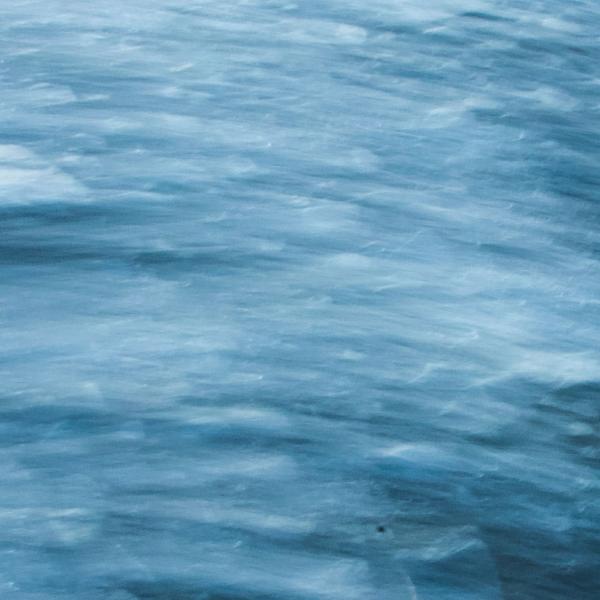 Glassy water over polar ice caps