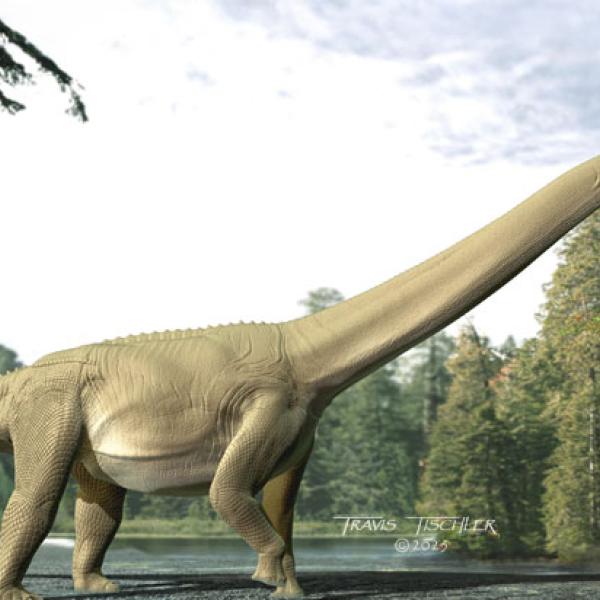 Diamantinasaurus matildae