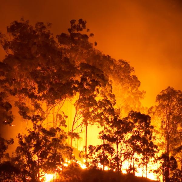 Australian bushfires