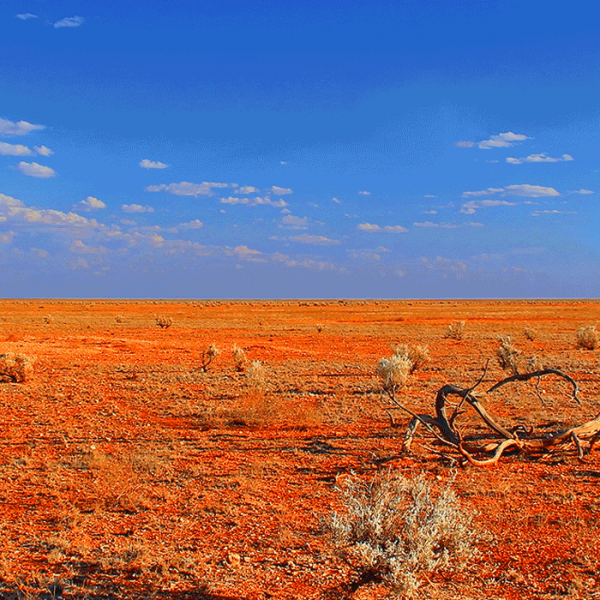 CORIS360 overlay on outback background with imagery showing detection of radioactive source 