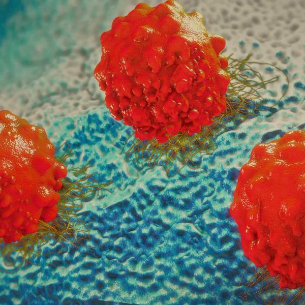 Cancer cells
