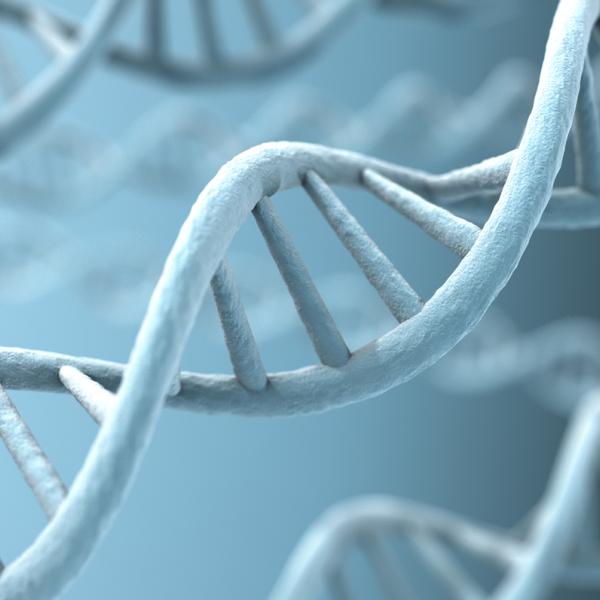 DNA