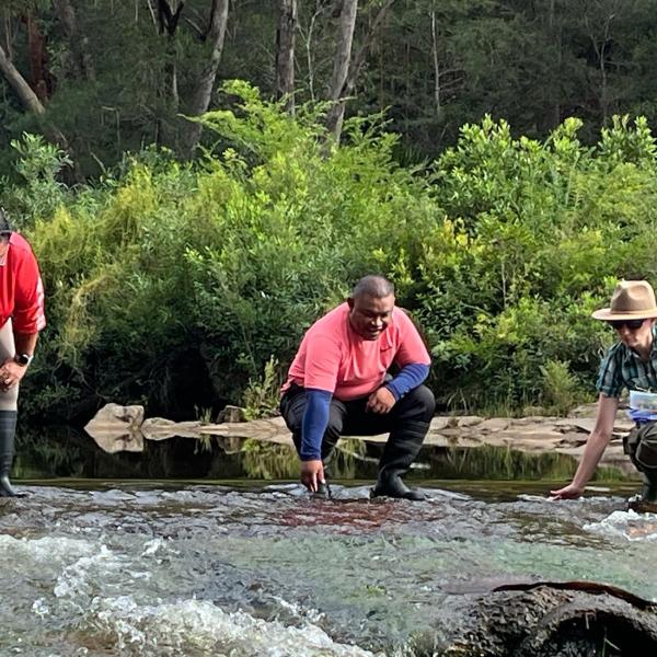 Fieldwork Woronora River
