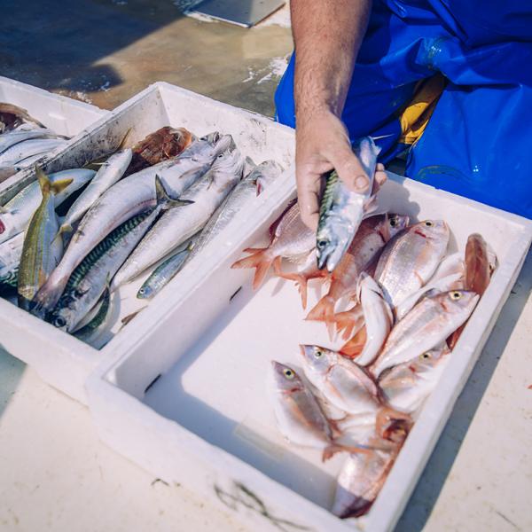 Fisherman with catch