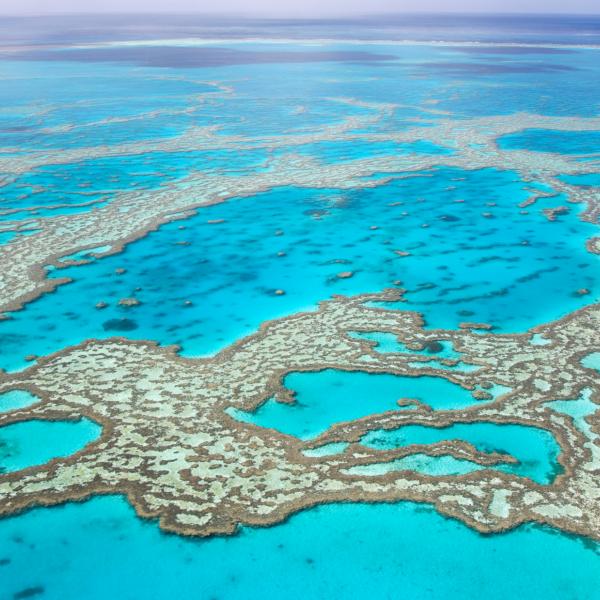 Barrier reef