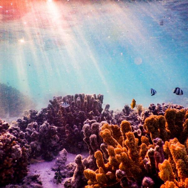 Great Barrier Reef