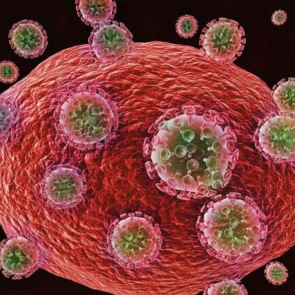 HIV attcacking cell