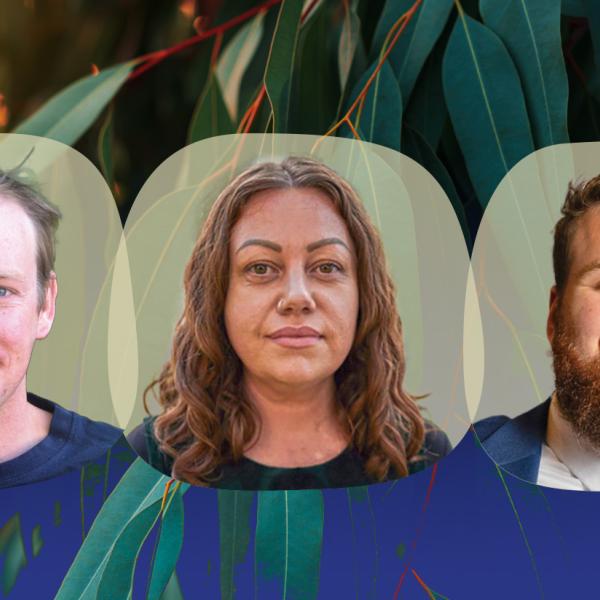 Indigenous webinar
