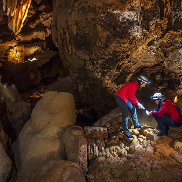 Jenolan caves research