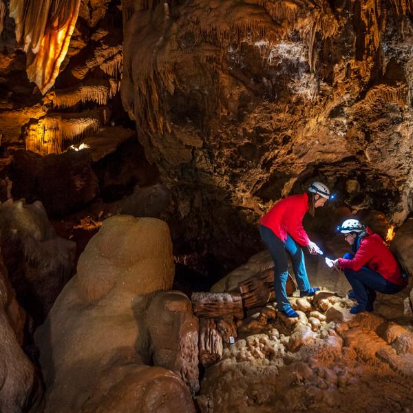 Jenolan Cave