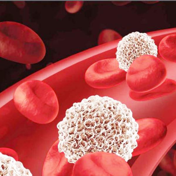 Leukaemia cells
