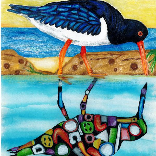 2019 Shorebirds Competition Summary and Results