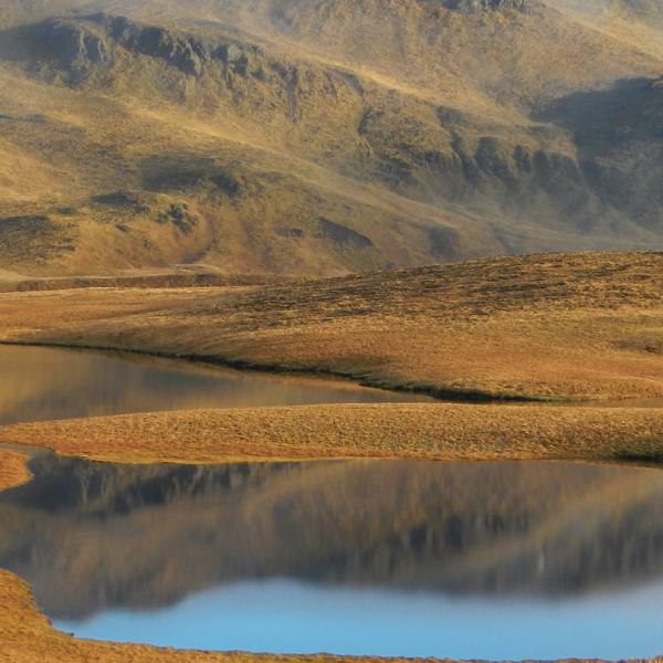 Macquarie Island