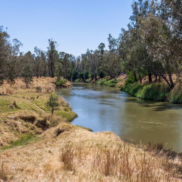 Namoi River