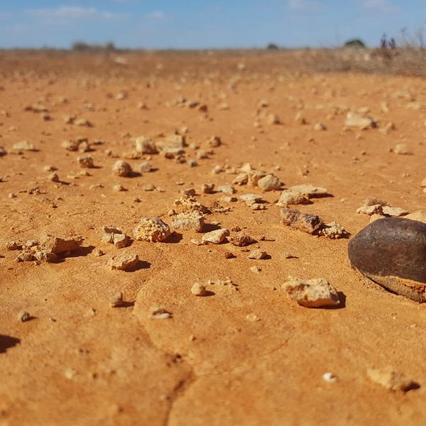 Nullarbor Plaim