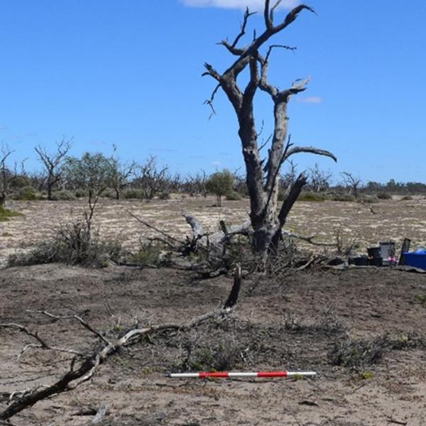 Murray Darling River archaeological 