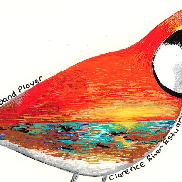 Shorebirds Competition 2021 results