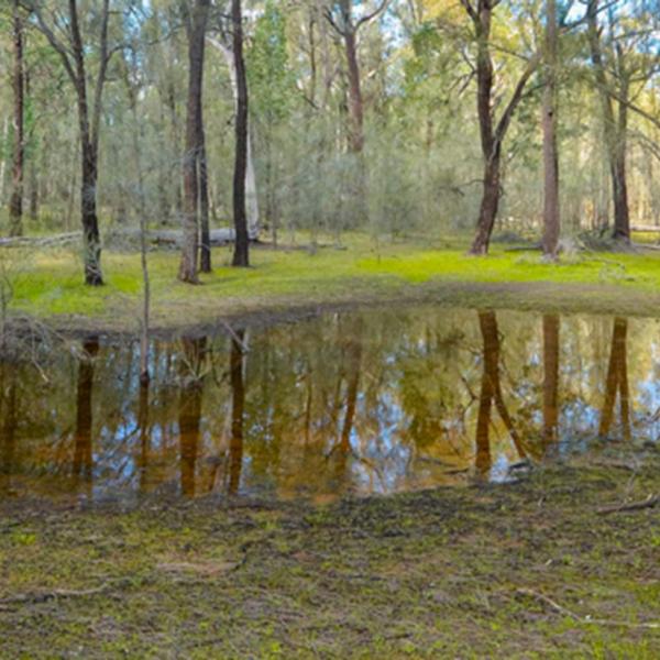 Ancient groundwater enters food web