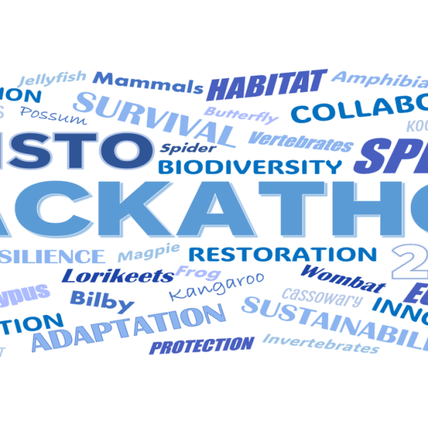 2024 Wordcloud