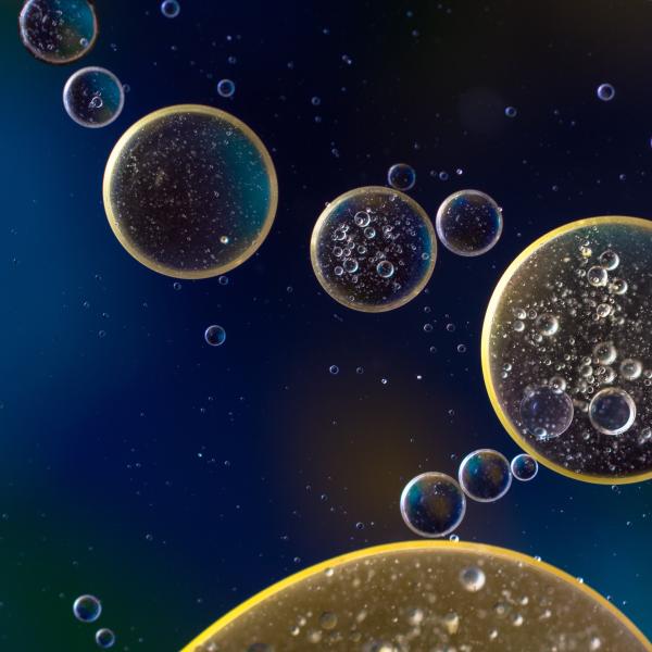 oil emulsion