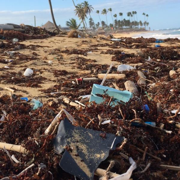 coastal pollution