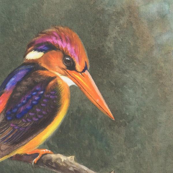 drawing of a bird