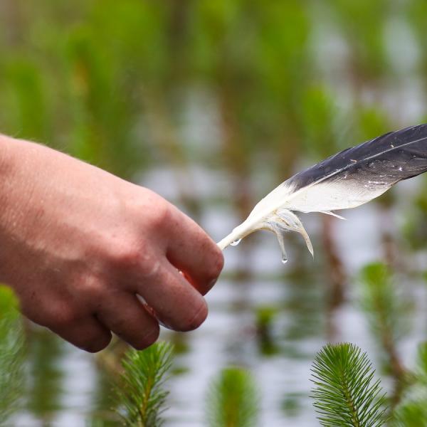 feather map
