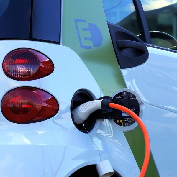 fuel cell